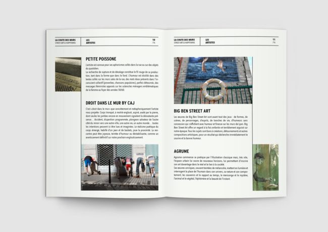 topica_chrd_chutedesmurs_dp6